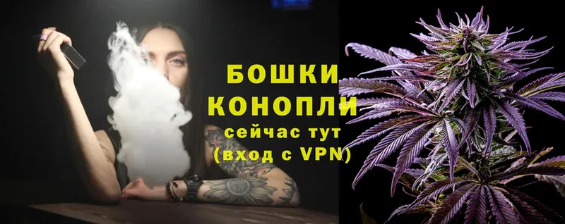 Конопля White Widow  Алагир 